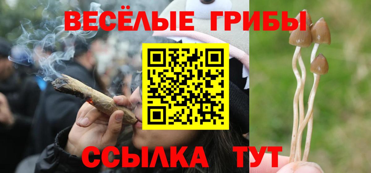 Строитель  Галлюциногенные грибы MAGIC MUSHROOMS  Галлюциногенные грибы Psilocybine cubensis  Вход с VPN 